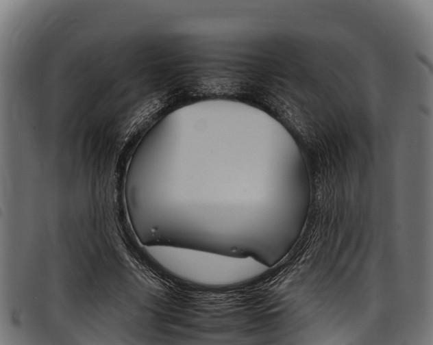 X0000098020635200803280754