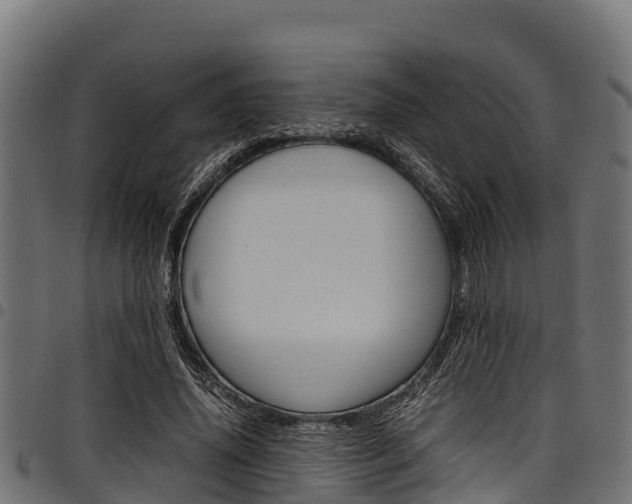 X0000098020636200803280754