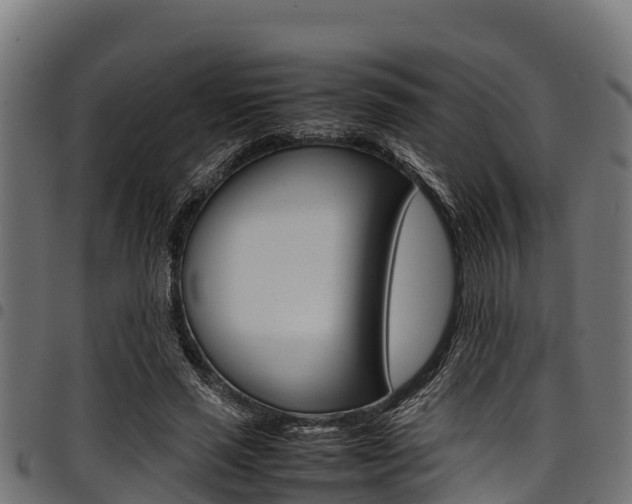 X0000098020637200803280754