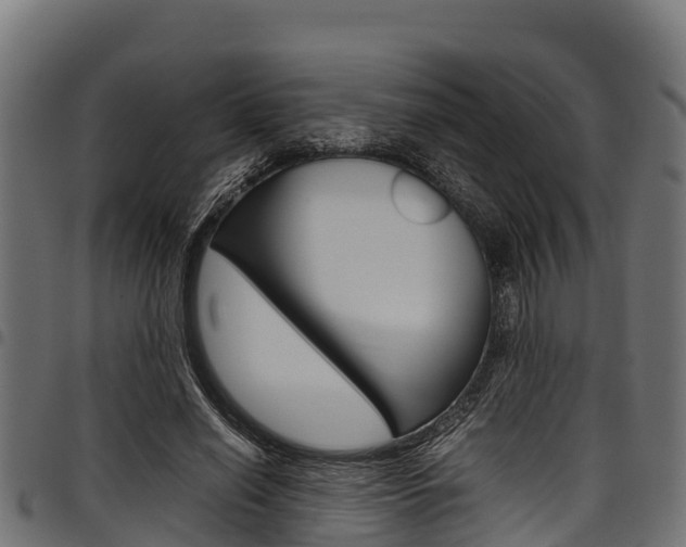 X0000098020638200803280754