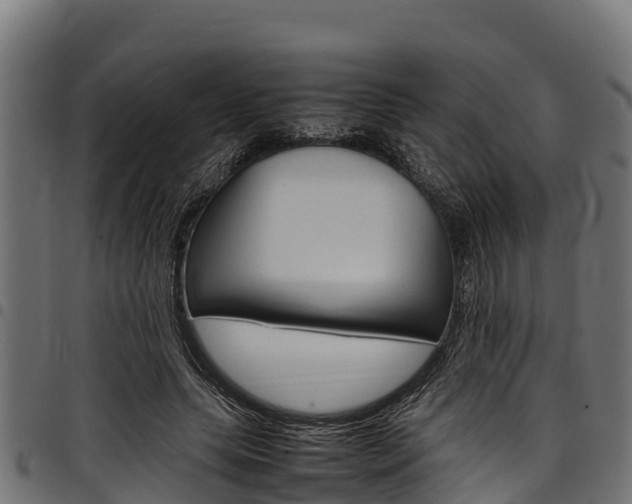 X0000098020639200803280754