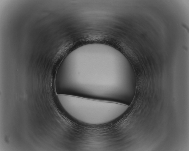 X0000098020640200803280754