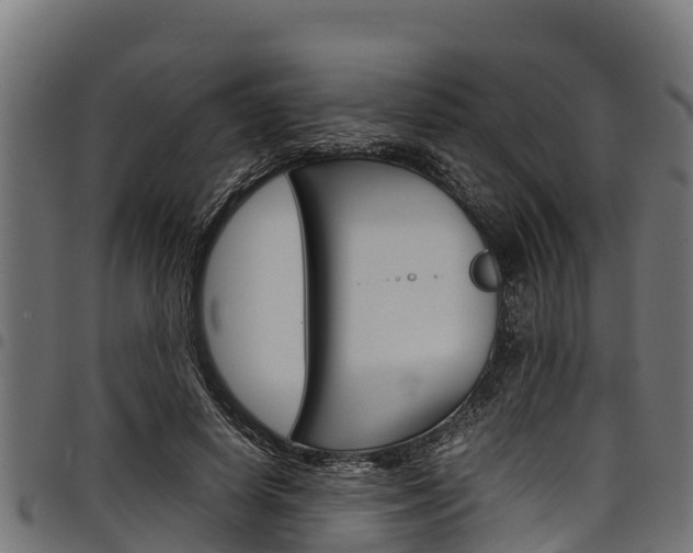 X0000098020642200803280754