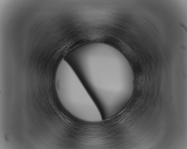 X0000098020644200803280754