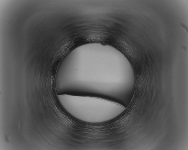 X0000098020645200803280754