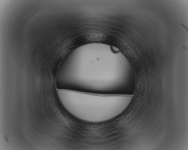 X0000098020647200803280754