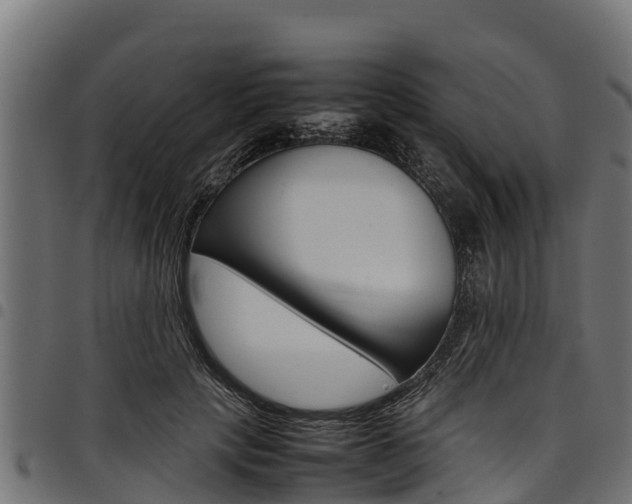 X0000098020649200803280754