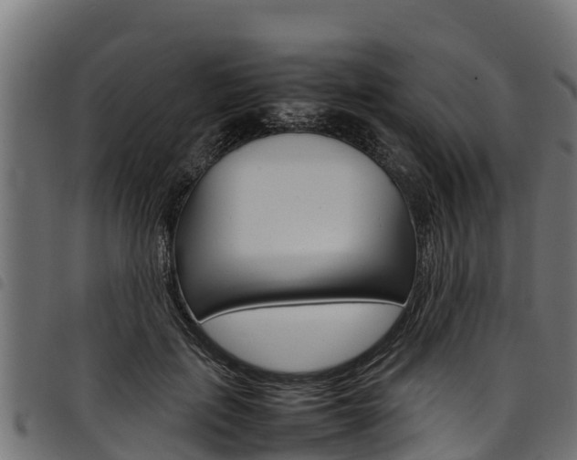 X0000098020651200803280754