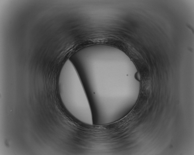 X0000098020652200803280754