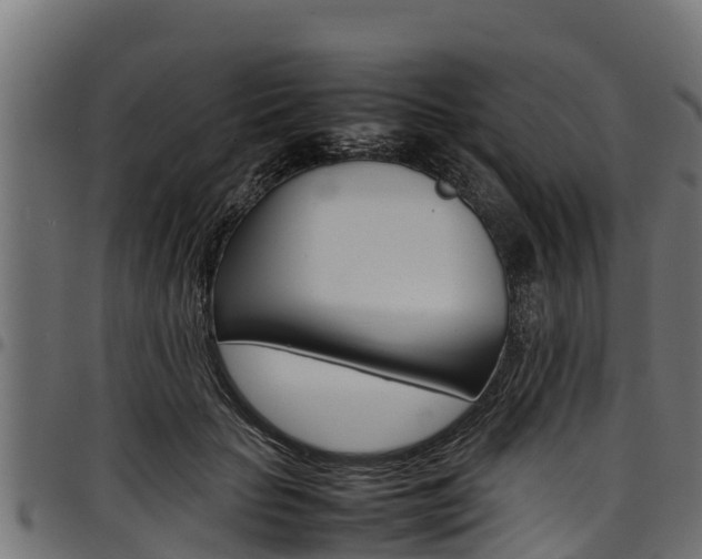 X0000098020653200803280754