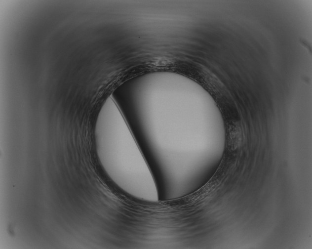 X0000098020654200803280754