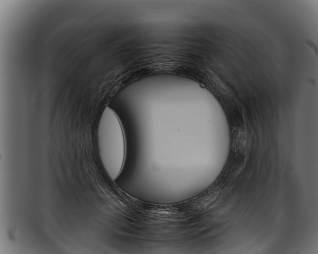 X0000098020655200803280754