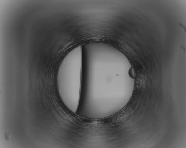 X0000098020656200803280754