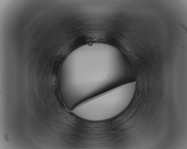 X0000098020657200803280754