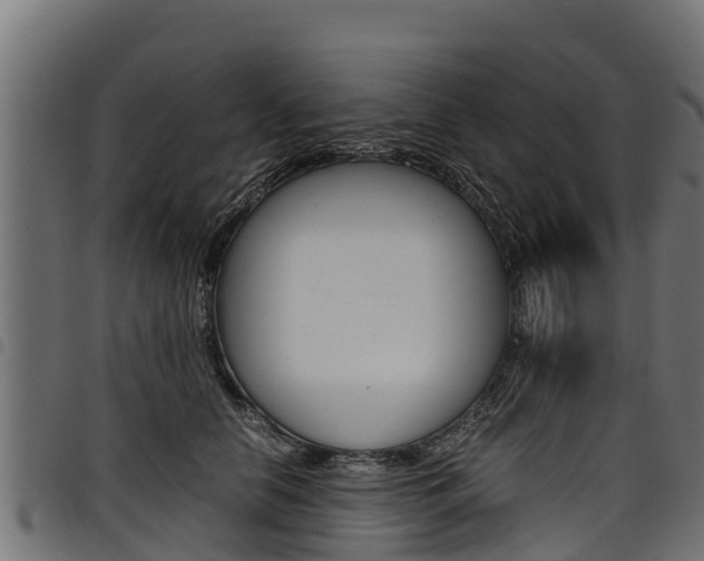 X0000098020658200803280754