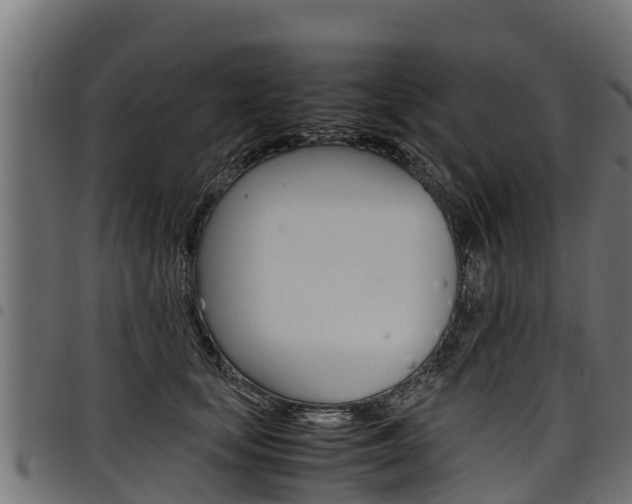 X0000098020659200803280754