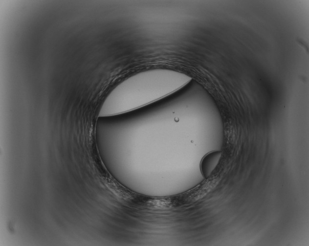 X0000098020660200803280754