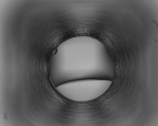 X0000098020662200803280754