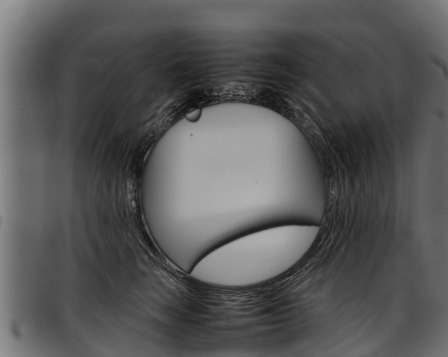 X0000098020663200803280754