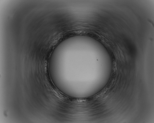 X0000098020664200803280754