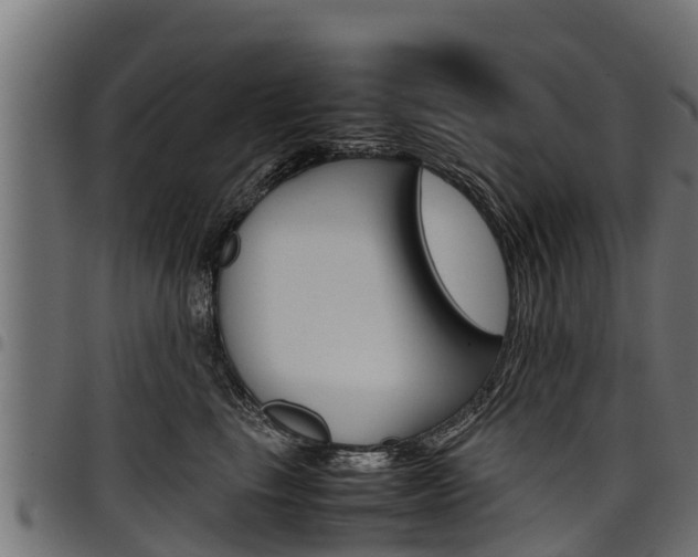 X0000098020665200803280754