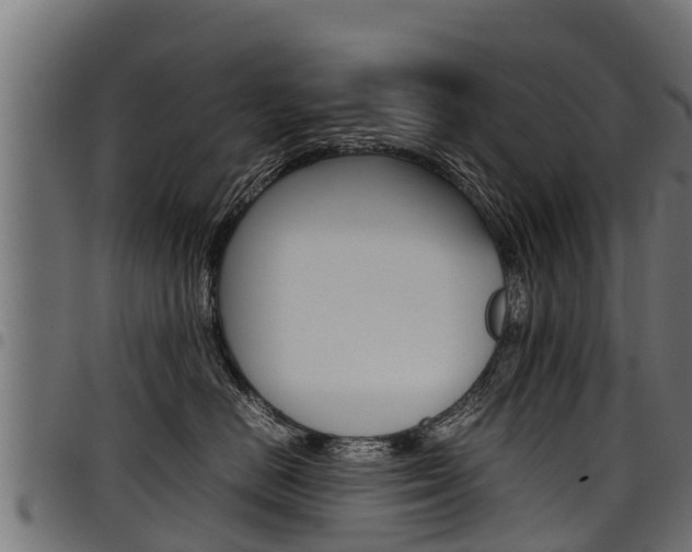 X0000098020670200803280754