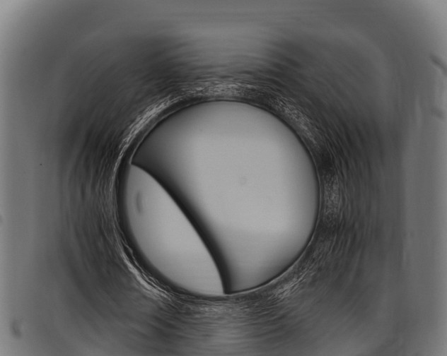 X0000098020674200803280753