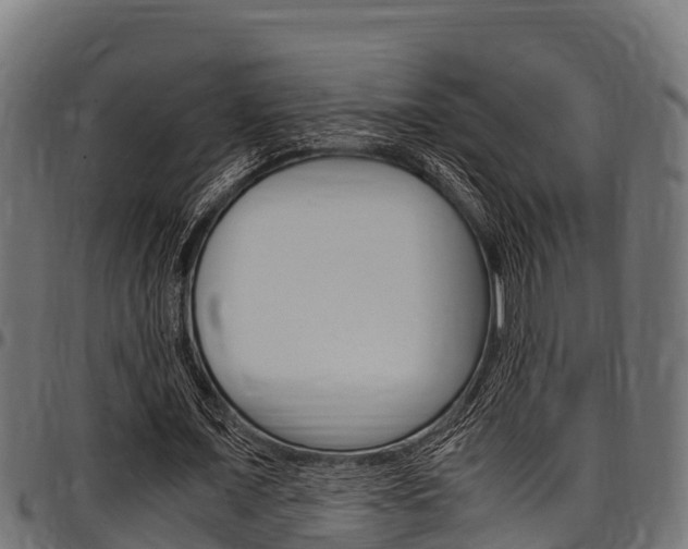 X0000098020675200803280753
