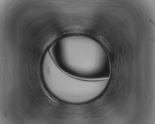 X0000098020677200803280753