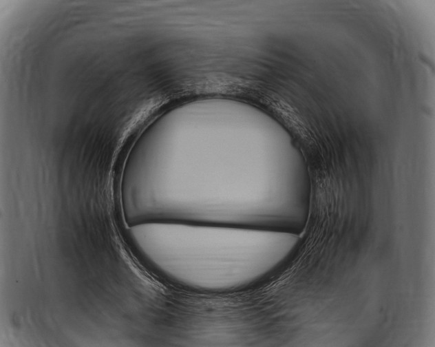 X0000098020678200803280753