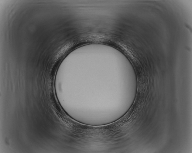 X0000098020679200803280753