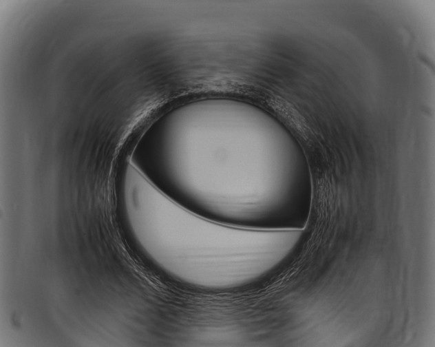 X0000098020680200803280753