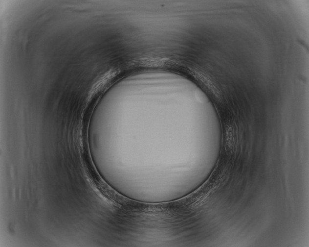 X0000098020682200803280753