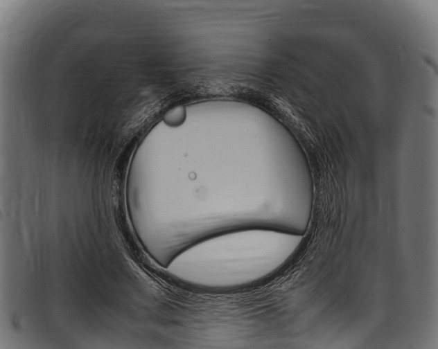 X0000098020683200803280753