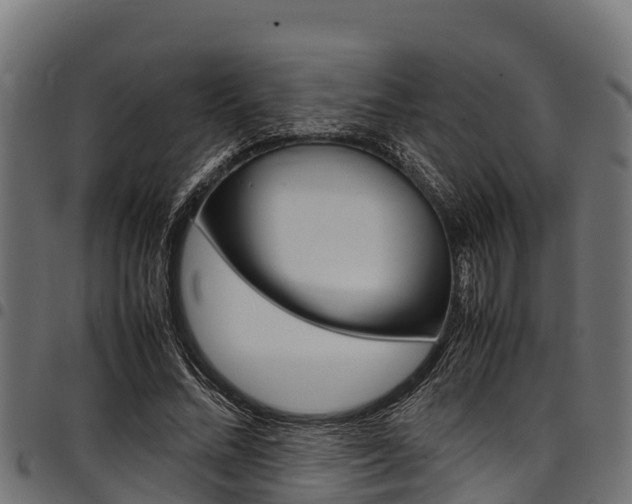 X0000098020684200803280753