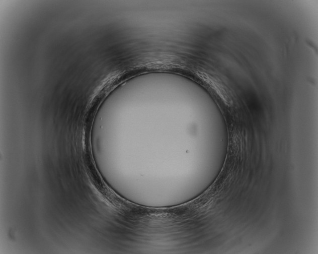 X0000098020686200803280753