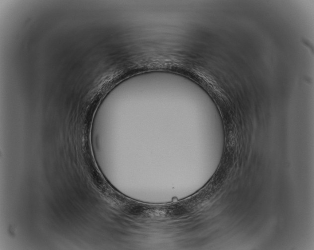 X0000098020687200803280753
