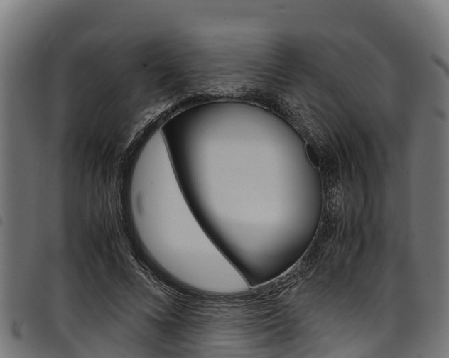 X0000098020688200803280753