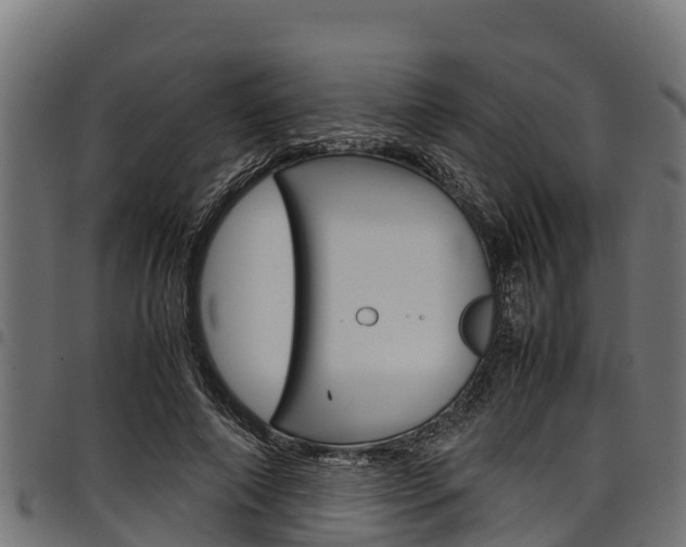 X0000098020690200803280753