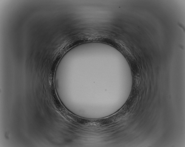 X0000098020691200803280753