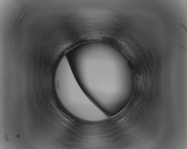 X0000098020692200803280753