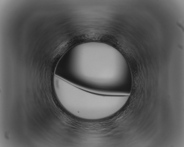 X0000098020693200803280753