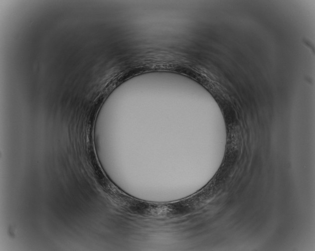 X0000098020695200803280753