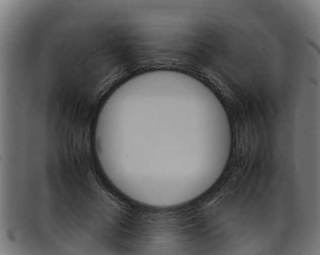 X0000098020696200803280753