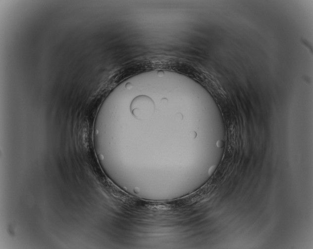 X0000098020698200803280753
