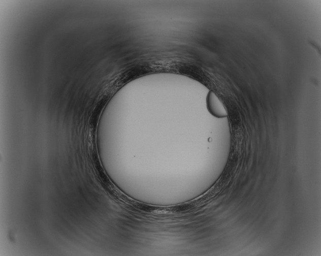X0000098020699200803280753