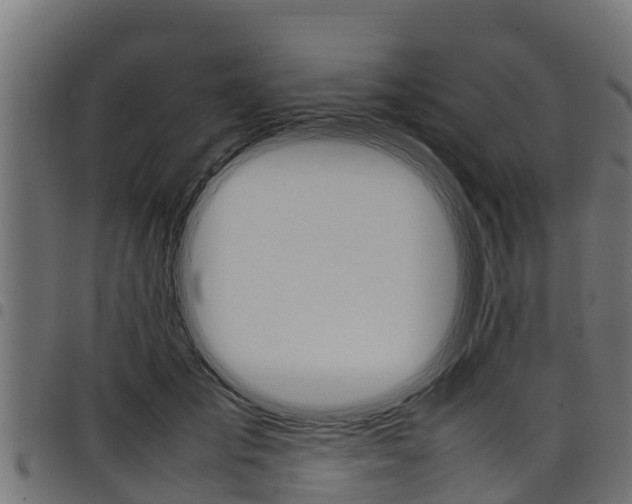 X0000098020701200803280753