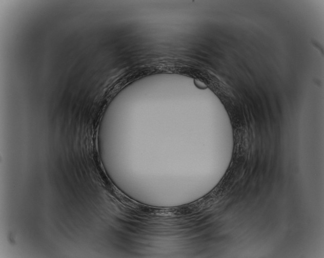 X0000098020702200803280753