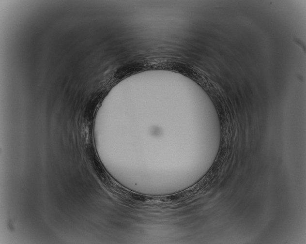 X0000098020703200803280753