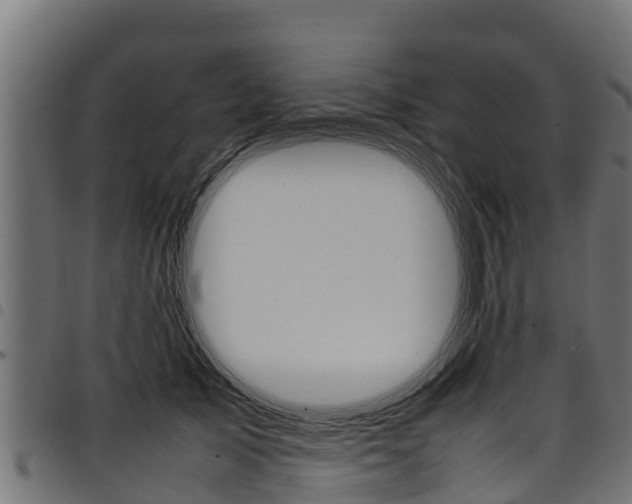 X0000098020705200803280753